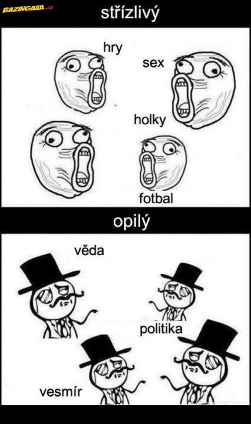 Príspevok 41132